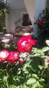 NucşoaraにあるCASA MARIA RETEZATのギャラリーの写真