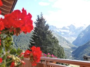 Gallery image of Petites Fleurs Cogne in Cogne