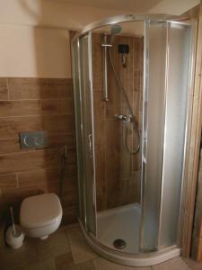 a shower stall in a bathroom with a toilet at Petites Fleurs Cogne in Cogne
