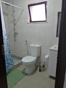 een badkamer met een toilet en een douche en een raam bij Casa da Sogra - Apartamento 3 in Faja Grande