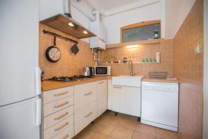 Kuchyň nebo kuchyňský kout v ubytování Apartment Atlas + 3 fotografie