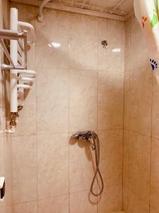 una ducha con manguera en un baño en Horeka Hotel, en Ulán Bator