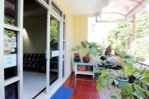 ein Zimmer mit Pflanzen und einer Tür zur Veranda in der Unterkunft Batik Trinidar Homestay in Yogyakarta