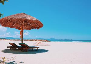 una playa con 2 sillas y una sombrilla en Wild Beach Boutique Resort, en Ninh Phuoc