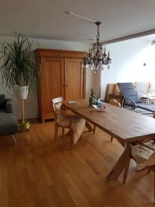 Gallery image of Zimmer in Penthouse-Wohnung in Windisch