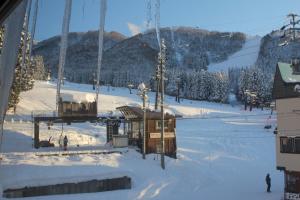 Kamoshika Ski Lodge בחורף