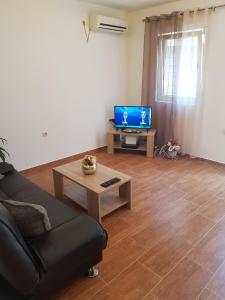 ein Wohnzimmer mit einem Sofa und einem Tisch mit einem TV in der Unterkunft Apartment ALEKSANDAR in Kotor