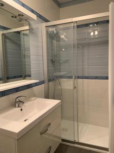 La salle de bains est pourvue d'une douche en verre et d'un lavabo. dans l'établissement TOURNUS Belle maison vue sur Saône, à Tournus