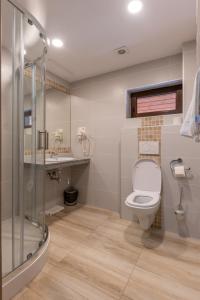 een badkamer met een toilet en een douche bij Przystanek Alaska in Zieleniec