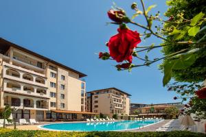a red rose on a branch next to a swimming pool at Apartment Tourist Complex Rose Village in Sunny Beach