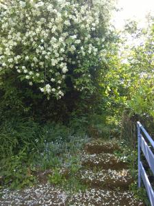 Foto dalla galleria di Moulin De Cornevis Bed and Breakfast a Privas Altre 40 foto