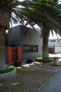 a building with two palm trees in front of it at SelkieBnB in Walvis Bay