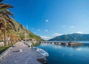 a marina with boats in the water and palm trees at Risan center apartment in Risan