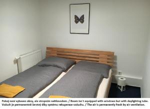 Llit o llits en una habitació de Mikulov Inn - hotel Zeme