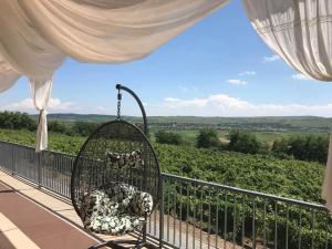 a swing on a balcony with a view of a vineyard at Pensiunea La Vie in Blaj