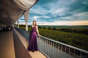 Afbeelding uit fotogalerij van Pensiunea La Vie in Blaj