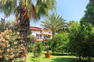 a palm tree in front of a house at HemeransAnatolia in Cıralı