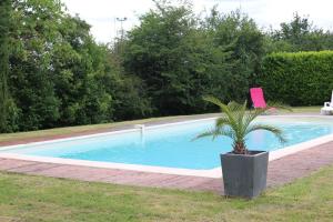 a palm tree in a pot next to a swimming pool at Le Camp De Ferie in Monpazier