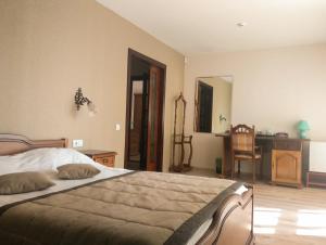 Schlafzimmer mit einem Bett, einem Schreibtisch und einem Stuhl in der Unterkunft Hotel Villa Natali in Chişinău
