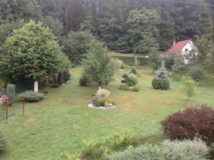 a garden with many bushes and trees and a house at Przytulne na Poddaszu in Jelenia Góra