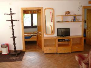 捷克布杰约维采Apartmány Hlava的一间带电视和镜子的客厅