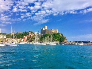a group of boats docked in a harbor with a castle at CASABARBARA lerici in Lerici