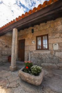 a stone house with a flower pot in front of it at Casas da Lagariça in Sortelha