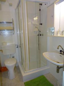 ein Bad mit einer Dusche, einem WC und einem Waschbecken in der Unterkunft Gasthof Torwirt in Lavamünd