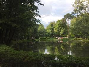 Príroda v okolí apartmánu
