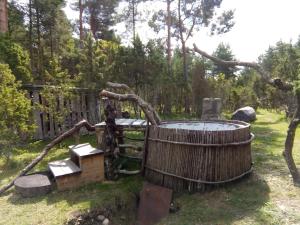 Gallery image of Kadariku Tourism Farm in Sakla