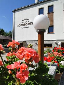 a street light with red flowers in front of a building at Willa Sokołówka in Polanica-Zdrój