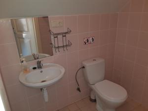 Billede fra billedgalleriet på Gaspada i Sėlinai