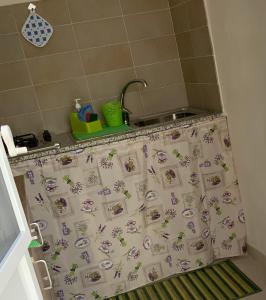 uma cortina de chuveiro na casa de banho com lavatório em Il Vicoletto em Casamassella