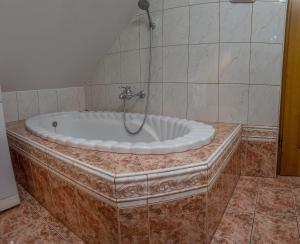 a bath tub with a shower in a bathroom at APARTMA AJDA in Komenda