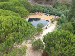 Lanskap alam di dekat country house