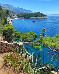 a view of a large body of water with trees at Oliver Ravlić in Makarska