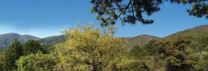 Paesaggio naturale nelle vicinanze del bed & breakfast