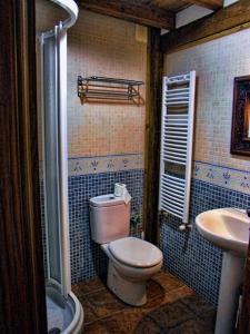 a bathroom with a toilet and a sink at Apartamento Rural El Pino in Mogarraz