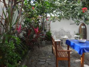 una mesa y sillas en un jardín con plantas en Hostel Casarão 65 en Salvador