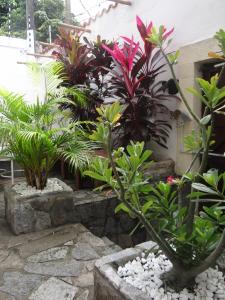 um jardim com plantas e rochas num quintal em Hostel Casarão 65 em Salvador