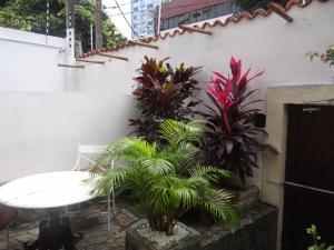 patio con tavolo e alcune piante di Hostel Casarão 65 a Salvador