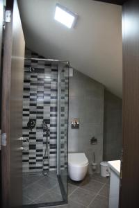 y baño con ducha y aseo. en Mihail's Apartments in Ohrid - 2 en Ohrid
