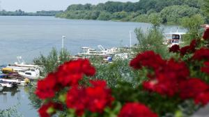 Paesaggio naturale nelle vicinanze del bed & breakfast