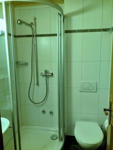 uma casa de banho com um chuveiro e um WC. em Haus Azurit Dachwohnung Nr.30 em Grächen