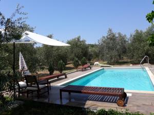 einen Pool mit einer Bank und einem Sonnenschirm in der Unterkunft Apartments Garden Monsena in Rovinj