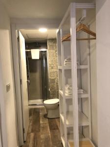 a bathroom with a toilet and a walk in shower at hostal olozaga in Alicante