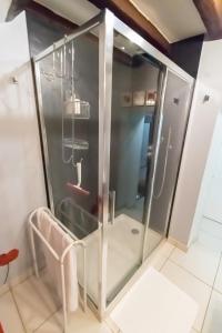 - une douche avec une porte en verre dans la chambre dans l'établissement LA MUSARDIERE, à Auzouer-en-Touraine