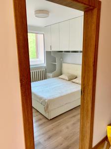 een slaapkamer met een bed en een spiegel bij Jaunimo Apartamento in Alytus