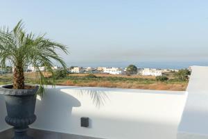 a palm tree in a pot on a white wall at Karat Suites in Vóthon +75 photos