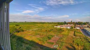 a view from a window of a field with buildings at Однокімнатні квартири in Uzyn